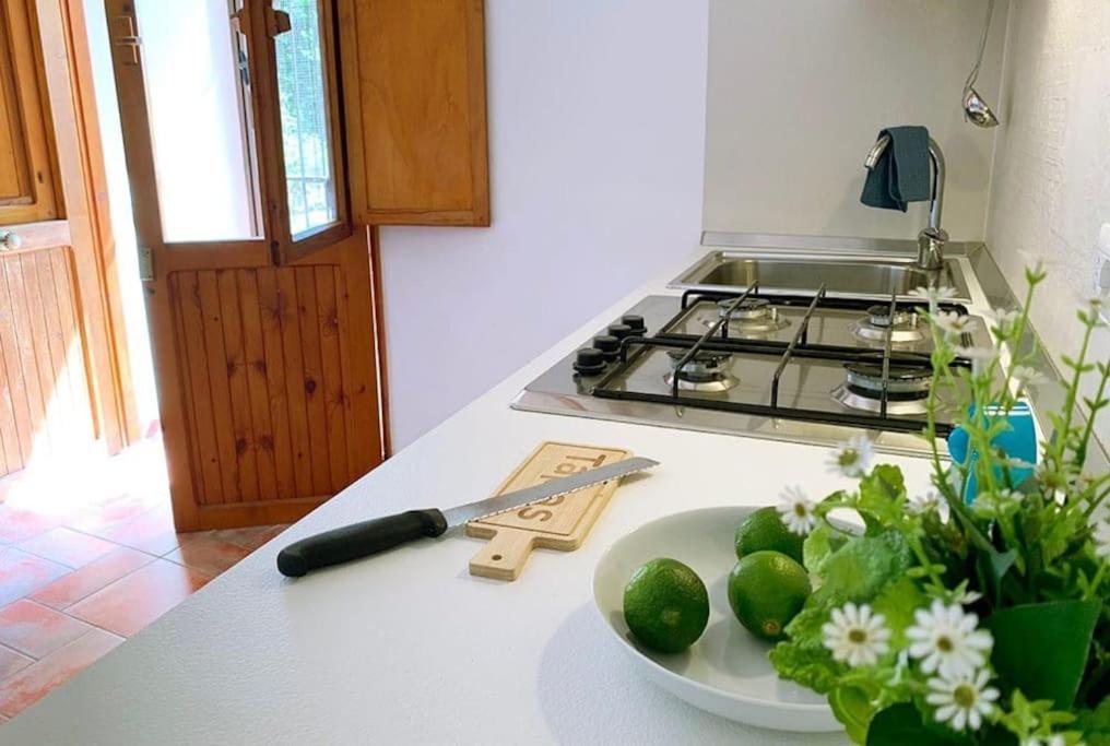 Casa Al Teatro Apartment แตร์ราชินา ภายนอก รูปภาพ